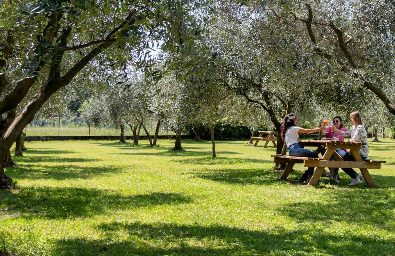 Agriturismo Ca Del Lago Gravedona Εξωτερικό φωτογραφία