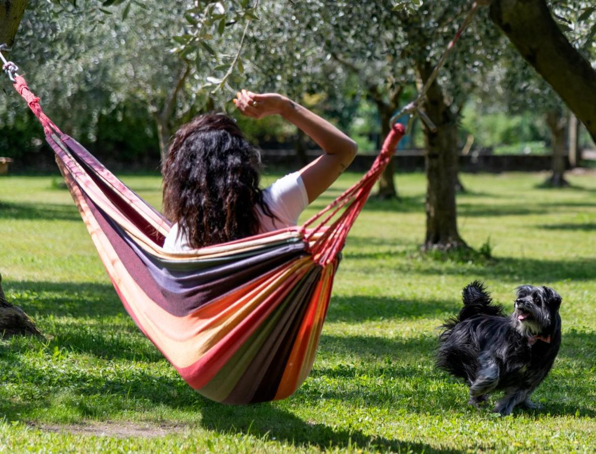 Agriturismo Ca Del Lago Gravedona Εξωτερικό φωτογραφία