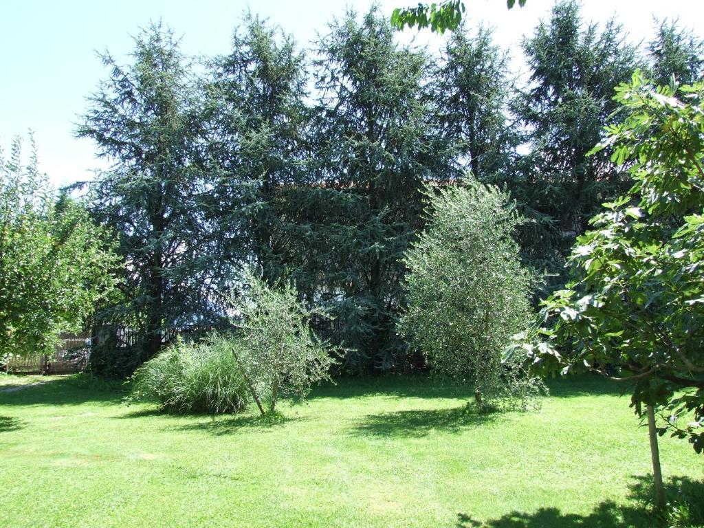 Agriturismo Ca Del Lago Gravedona Εξωτερικό φωτογραφία